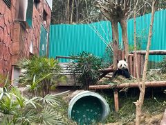-乐和乐都主题乐园
