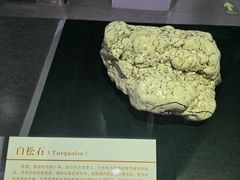 -中国第四纪冰川遗迹陈列馆