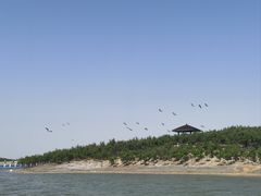 -南大港湿地风景区