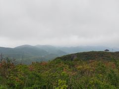 -大围山国家森林公园