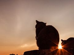 -真爱范特西KTV(交大店)