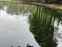 -晓港公园