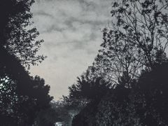 -重庆彩云湖湿地公园