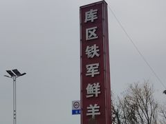 -铁军鲜羊肉汤