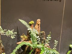 -梅间堂茶馆(绿地缤纷城店)