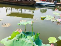 -陶辛水韵