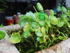 -八珍手工水饺·妈妈的爱(传芳巷店)