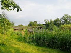 -白鹭湾湿地公园