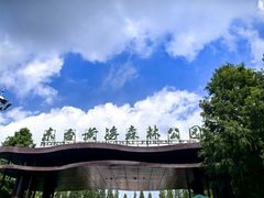 -黄海国家森林公园