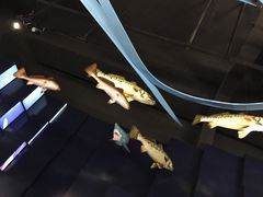 景点-同济大学四平路校区深海探索馆