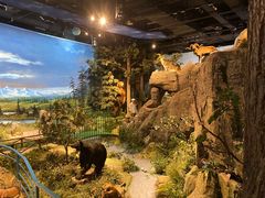 -陕西自然博物馆