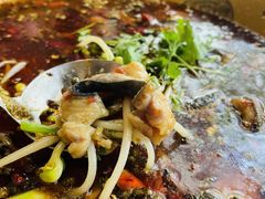 麻辣退秋鱼-自贡盐帮菜·玩辣餐厅(樱花园西街店)