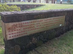 -王借岗森林公园