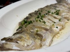 -顺峰(农展馆店)