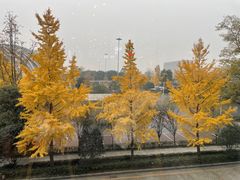 -星巴克(成都机场T2店)