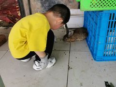 -菊园百果园