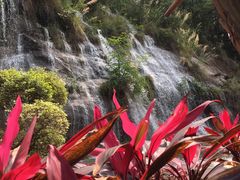 -广州莲花山旅游区