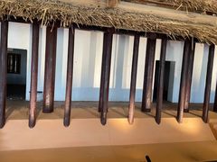 -盘龙城国家考古遗址公园