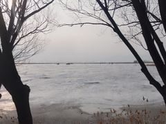 -野鸭湖国家湿地公园