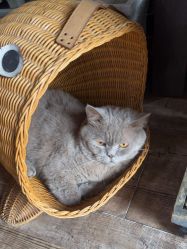 -青木造型HAIR·あおき髪を刈る潮人店