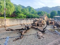 -西安秦岭野生动物园