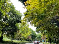 -铁山坪森林公园