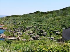 -枸杞岛