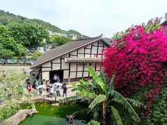 -燊海井