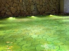 -碧水豪园·足浴·SPA·汗蒸·那须汤泉(中山东路店)