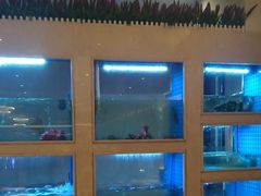 -皇朝尊会(龙之梦大酒店)