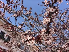 -斯普瑞斯奥特莱斯