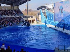 -上海海昌海洋公园
