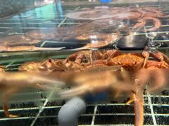 -江南府第·萧山宴(钱江世纪城店)