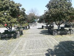 -嬉乐湾休闲旅游区