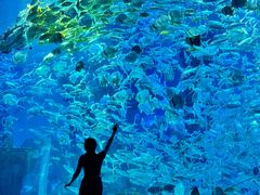 -波塞冬旅游度假区