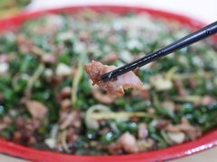 -东吴霸王兔(松青路店)