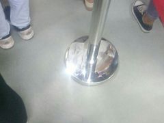 -嘿哟动霸CHUA·新潮玩运动娱乐中心·蹦床滑冰团建乐园