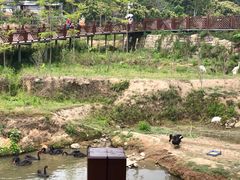 -泉州海丝野生动物世界