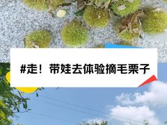-佛手湖郊野公园
