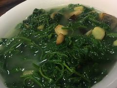 -旺金鸽(穗盐路总店)