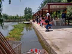 -同銮特种养殖场·龙虾垂钓