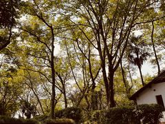 -西溪国家湿地公园