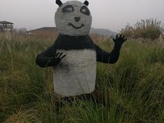 -白塔湖国家湿地公园