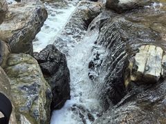 -白水寺森林公园