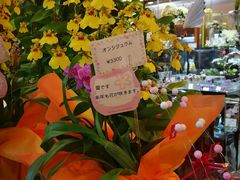 -JR东日本大都会大饭店东京城