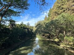 -同里国家湿地公园