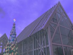-大塘金香草谷