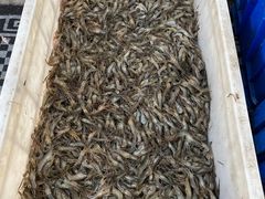 -正宗天津烧麦馆(柳州路店)