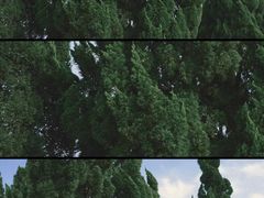 -盐城丹顶鹤湿地生态旅游区