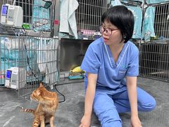 -瑞派宠物医院东莞中心医院·24H转诊·异宠(新河北路院)